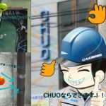 電磁波レーダ小型アンテナ